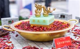 哪種毛肚好吃？火鍋店該怎么選？